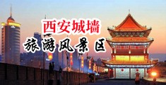 干骚逼视频啊啊啊中国陕西-西安城墙旅游风景区