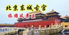 啊好爽大鸡巴快插视频中国北京-东城古宫旅游风景区